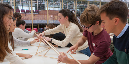 Intereses profesionales Test de orientación, intereses profesionales