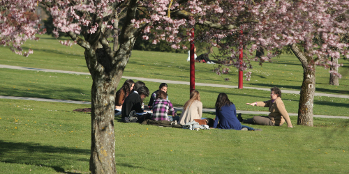 Visitas particulares