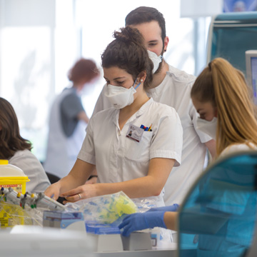 Degree in Biochemistry + International Science Program