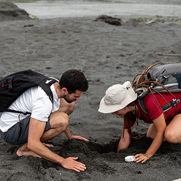 Degree in Environmental Sciences