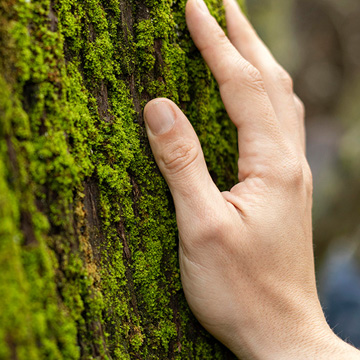Máster de Formación Permanente en Sostenibilidad